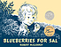 Blueberries for Sal by  Robert McCloskey 