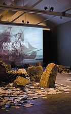 Dinh Q. Lê : erasure