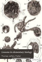 Lessons in elementary biology