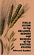 Field guide to the grasses, sedges and rushes of the United States
