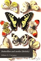 Butterflies and moths (British)