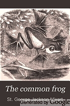 The common frog.
