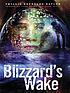 Blizzard's wake von Phyllis Reynolds Naylor