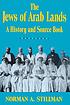 The Jews of Arab lands : a history and source book