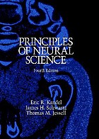 Principles of neural science