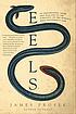 Eels : an exploration, from New Zealand to the... by  James Prosek 