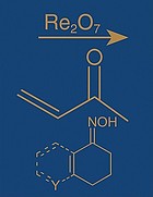 Comprehensive organic name reactions and reagents