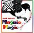 April Wilson's magpie magic : a tale of colorful mischief