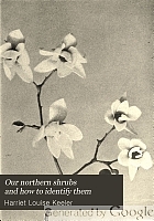 Our northern shrubs and how to identify them : a handbook for the nature-lover