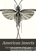 American insects,