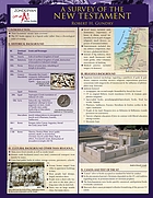 A Survey of the New Testament Laminated Sheet.