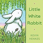 Little white rabbit