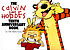 The Calvin and Hobbes tenth anniversary book door Bill Watterson