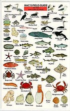 Mac's field guide to the San Juan Islands