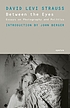Between the eyes : essays on photography and politics door David Levi Strauss