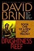 Brightness reef by  David Brin 