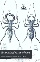 Entomologica Americana.