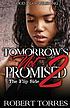 Tomorrow's not promised 2 : flip side by  Robert Torres 