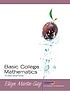 Basic college mathematics von K  Elayn Martin-Gay
