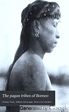 The pagan tribes of Borneo : a description of their physical, moral and intellectual condition, with some discussion of their ethnic relations