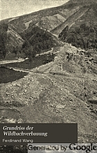 Grundriss der Wildbachverbauung.