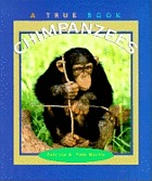 Chimpanzees