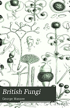 British fungi. Phycomycetes and Ustilagineae.