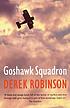 Goshawk Squadron door Derek Robinson