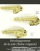 Développement de la sole (Solea vulgaris) : introduction à l'étude de la pisciculture marine