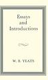 Essays and introductions.