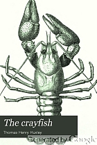 The crayfish; an introduction to the study of zoology.