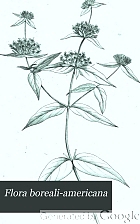 Flora boreali-americana, sistens caracteres plantarum quas in America septentrionali collegit et detexit Andreas Michaux.
