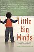 Little big minds : sharing philosophy with kids von Marietta McCarty