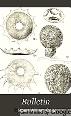 A preliminary report on the Protozoa of the fresh waters of Connecticut,