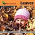 Eyelike nature : leaves. 