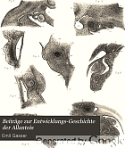 Beiträge zur Entwicklungs-Geschichte der Allantois, der Müller'schen Gänge und des Afters ...