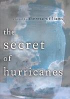 The secret of hurricanes : a novel