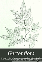 Gartenflora; zeitschrift für garten- und blumenkunde.
