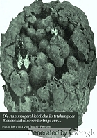 Die stammesgeschichtliche entstehung des bienenstaates sowie beiträge zur lebensweise der solitären u. sozialen bienen (hummeln, meliponinen, etc.). Vortrag gehalten auf dem Zoologen-kongress in Giessen (1902). Stark erweitert, mit anmerkungen und zusätzen