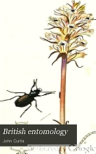 British entomology; being illustrations and descriptions of the genera of insects found in Great Britain and Ireland: containing coloured figures from nature of the most rare and beautiful species, and in many instances of the plants upon which they are found.