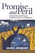 Promise and peril : understanding and managing... door David R Brubaker