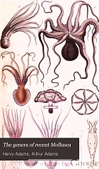 The genera of recent Mollusca: arranged according to their organization.
