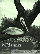 Wild wings : adventures of a camera-hunter among the larger wild birds of North America on sea and land