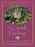A gentle feuding von Johanna Lindsey