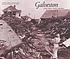 Galveston and the 1900 storm : catastrophe and... by  Patricia Bellis Bixel 