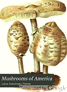 Mushrooms of America, edible and poisonous.