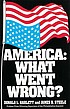 America : what went wrong? by  Donald L Barlett 
