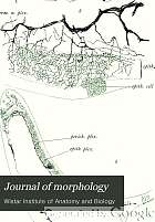Journal of morphology.