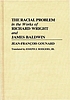 The racial problem in the works of Richard Wright and James Baldwin
