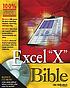 Excel 2003 Bible. by Walkenbach.